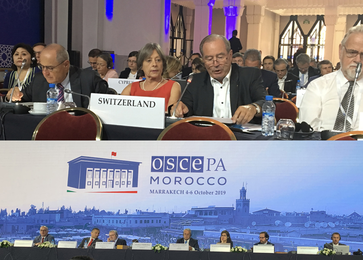 Maximilian Reimann an der OSZE-Herbsttagung 2019 in Marrakesch